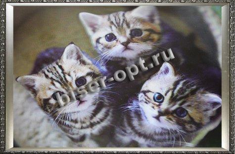 Картина 5D «Три котенка» (без рамки) 38*28см (1шт) цвет:14193Б