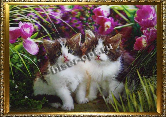 Картина 5D «Котята» (без рамки) 38*28см (1шт) цвет:14275Б
