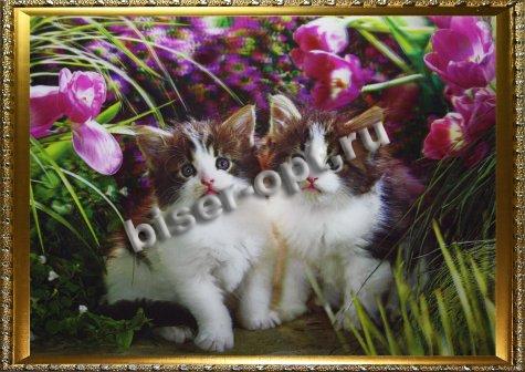 Картина 5D «Котята» (без рамки) 38*28см (1шт) цвет:14275Б