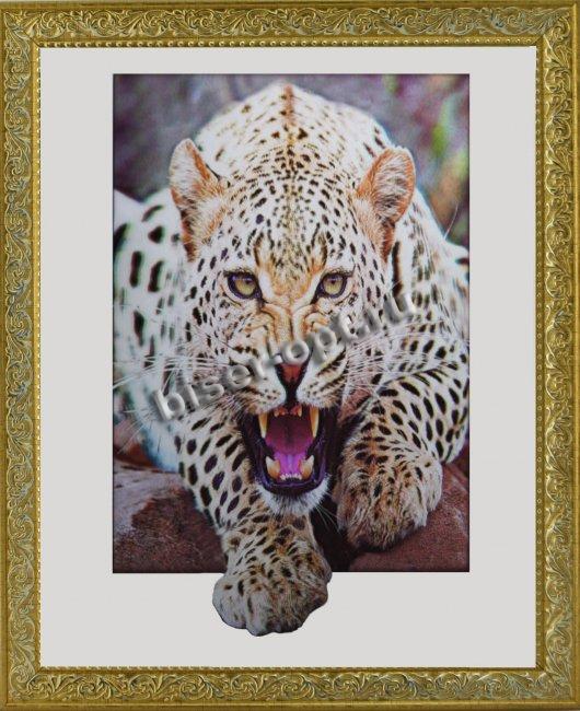 Картина 5D «Взгляд хищника» 38*38см (1шт) цвет:12491