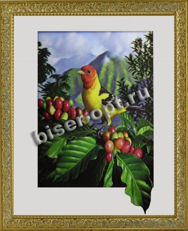 Картина 5D «Птичка на ветке» 38*38см (1шт) цвет:12553