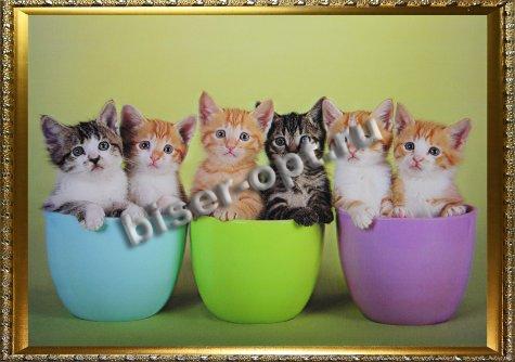 Картина 5D «Котята» 38*28см (1шт) цвет:12560