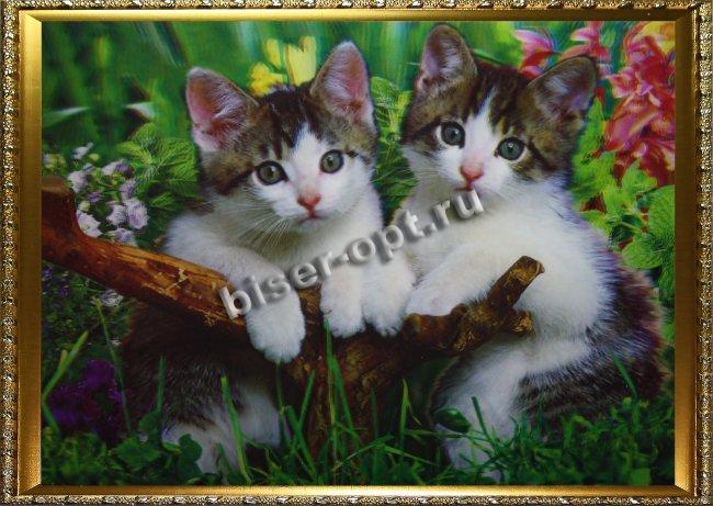 Картина 5D «Котята» 38*28см (1шт) цвет:14105