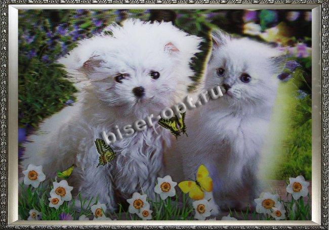 Картина 5D «Котенок и щенок» 38*28см (1шт) цвет:14170