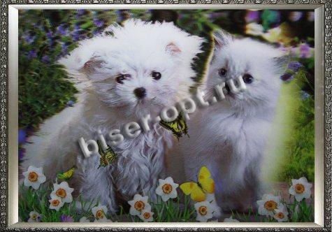 Картина 5D «Котенок и щенок» 38*28см (1шт) цвет:14170