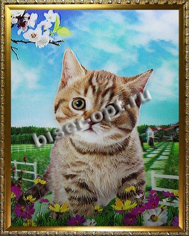 Картина 5D «Котенок» 28*38см (1шт) цвет:14137