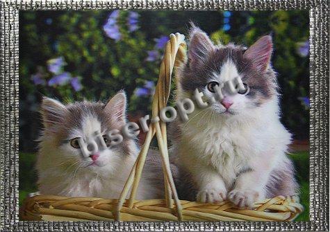 Картина 5D «Котята в корзинке» 38*28см (1шт) цвет:14175