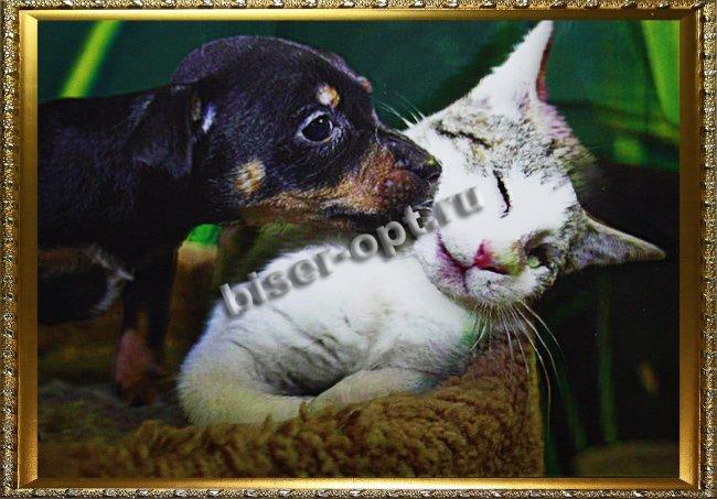 Картина 5D «Котенок и щенок» 38*28см (1шт) цвет:14119