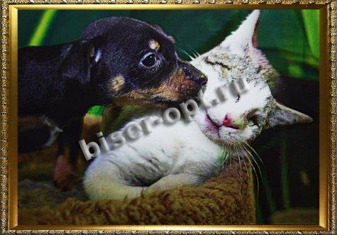 Картина 5D «Котенок и щенок» 38*28см (1шт) цвет:14119