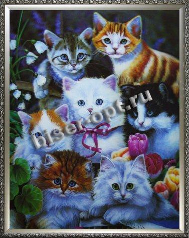 Картина 5D «Семеро котят» 28*38см (1шт) цвет:14179