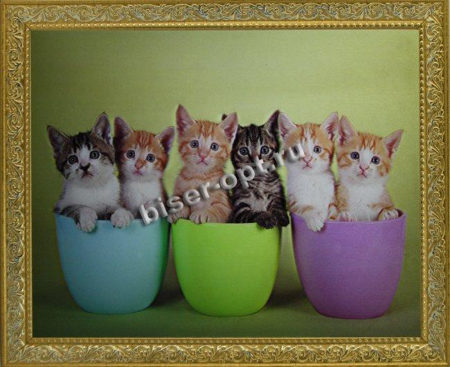 Картина 5D «Котята» (без рамки) 38*28см (1шт) цвет:12560Б