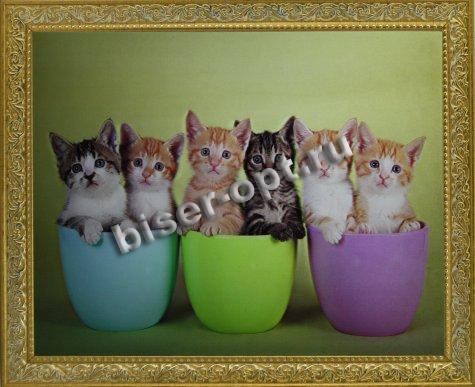 Картина 5D «Котята» (без рамки) 38*28см (1шт) цвет:12560Б